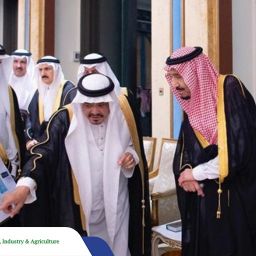 Saudi Arabia, UAE, and Qatari’s stock market rose