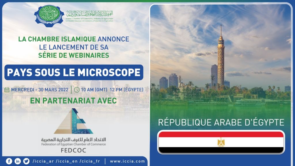 WhatsApp Image 2024-10-09 at 11.33.42