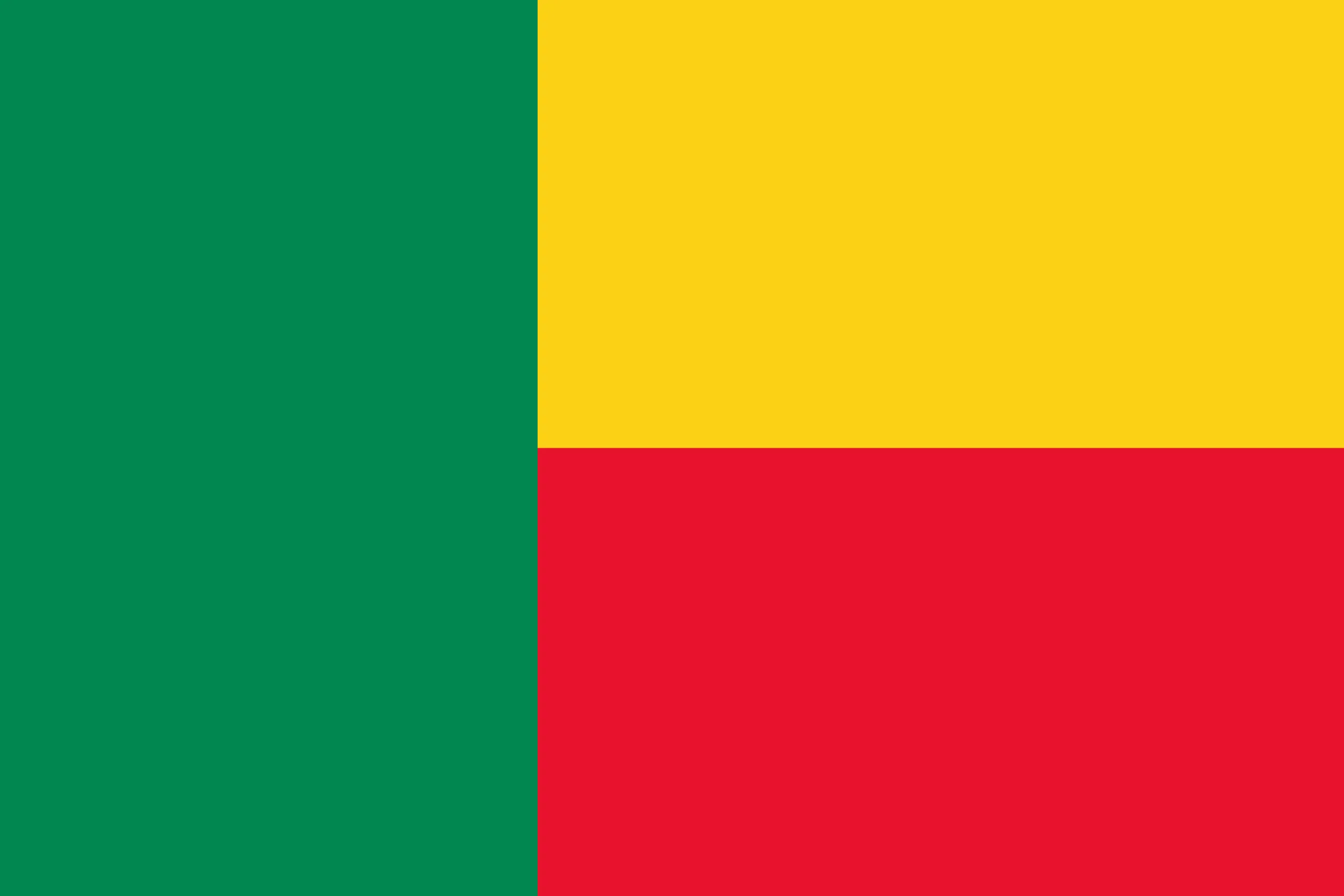 Benin flag Benin flag