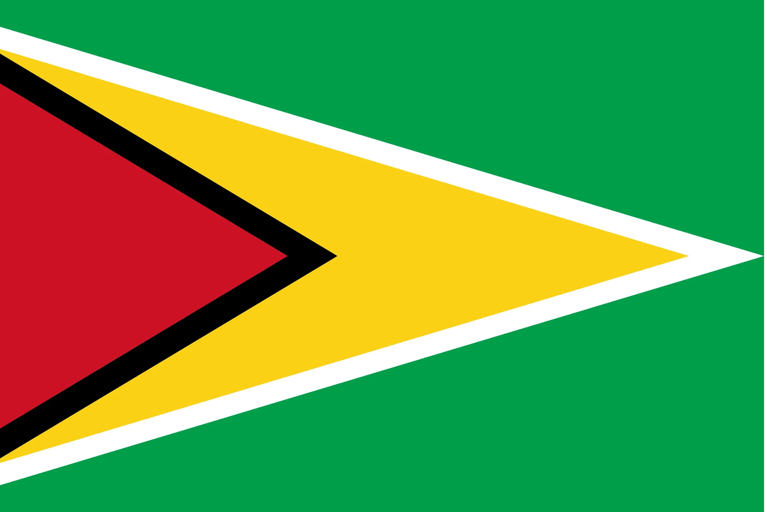 Guyana flag Guyana flag